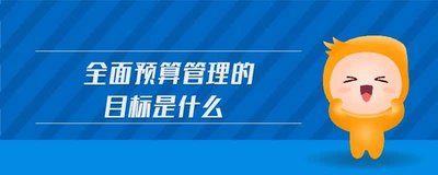 全面預(yù)算管理的目的是什么？