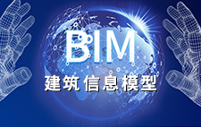 BIMg
